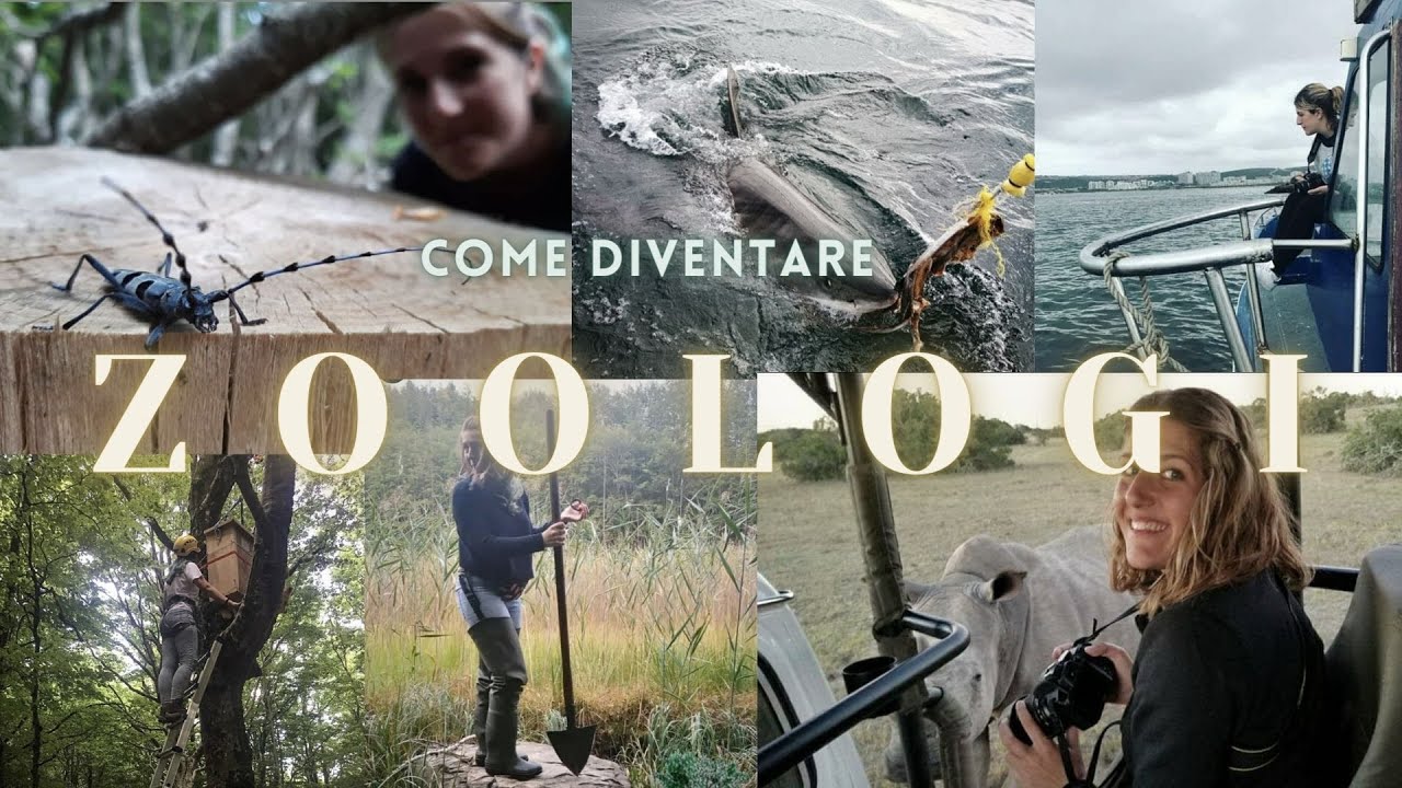 Come diventare ZOOLOGI 🐾