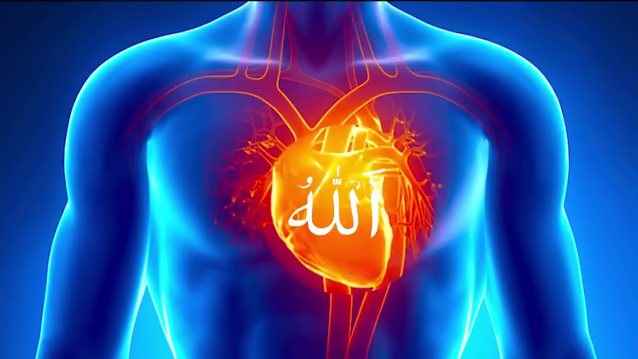 Ziker Allah allah 