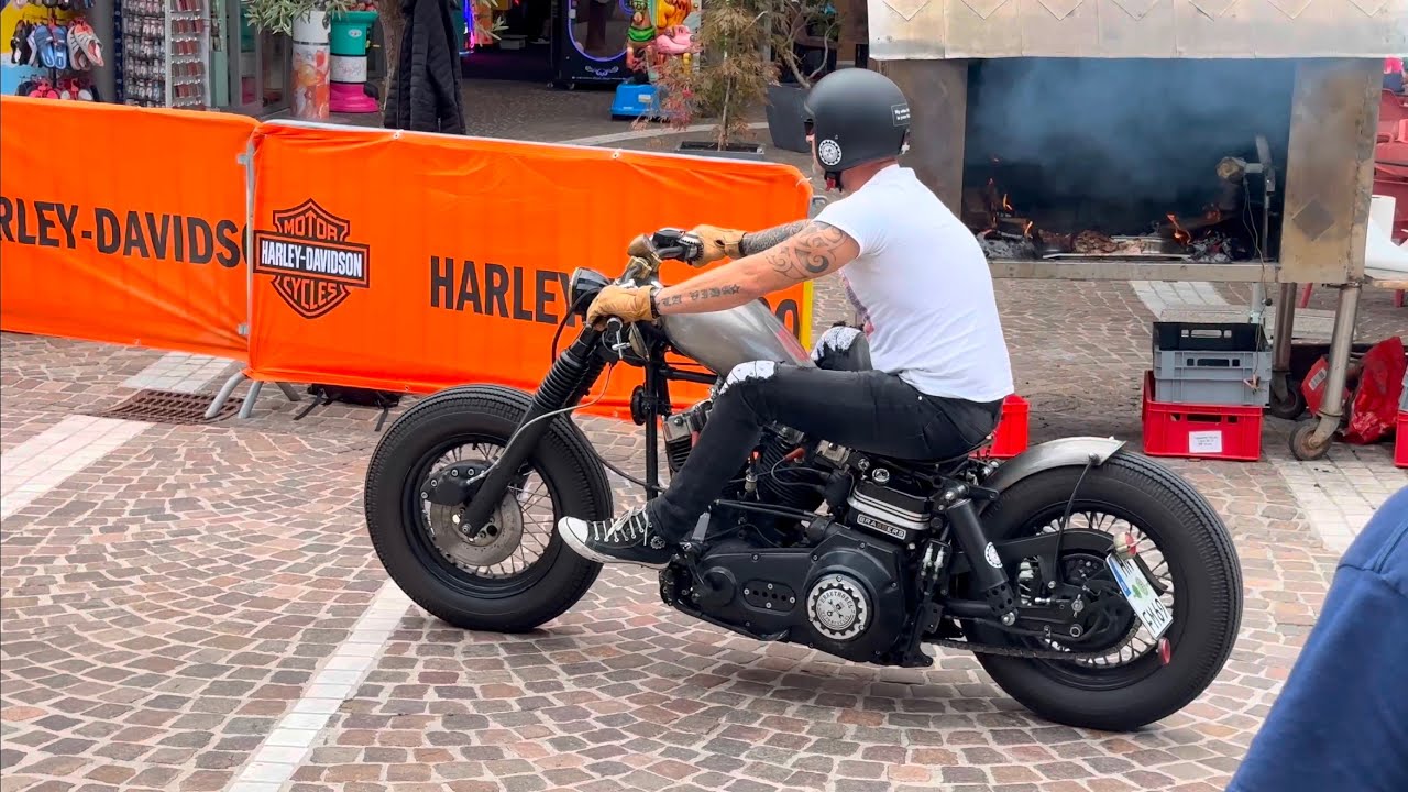 Harley Best of 2024 Part 5 in 4K 60 fps#harley #custom #softail #touring #sportster