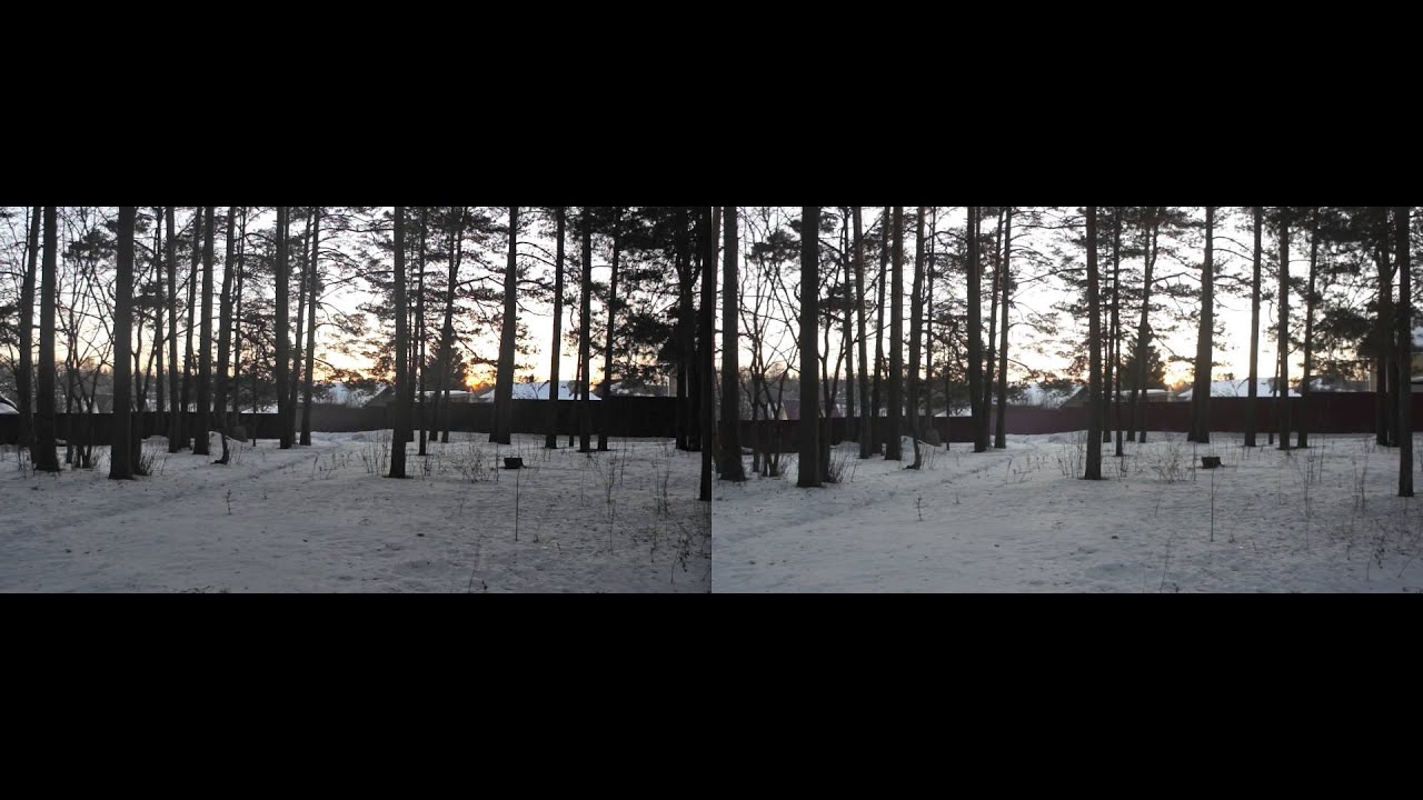 3d woods horizontal stereopara speed