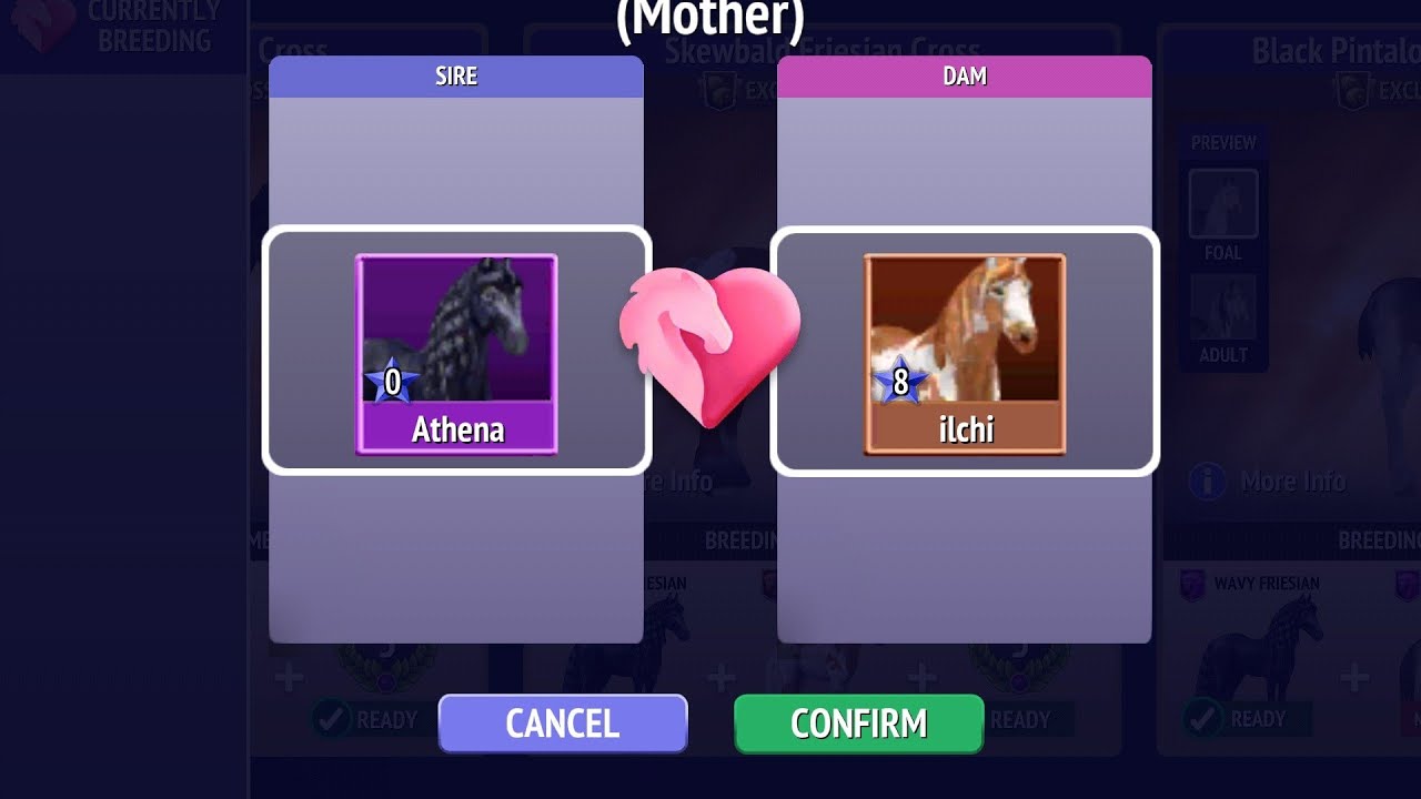 BREEDING! ☺️😱🥰