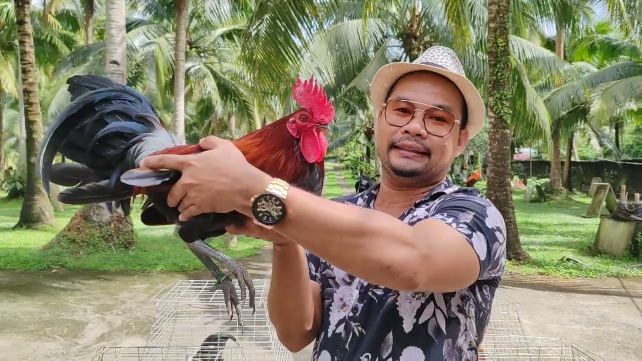 Our Blueface Hatch