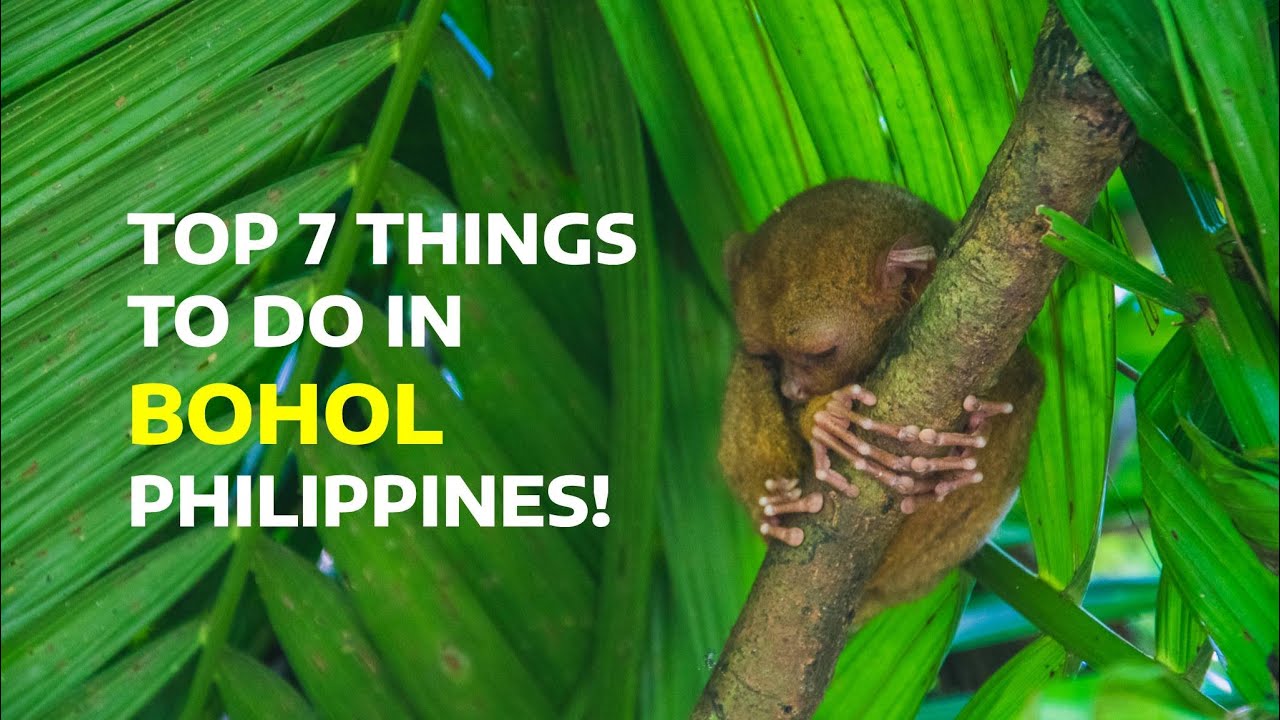 Top 7 Things to Do in Bohol, Philippines 2025 🇵🇭 | Chocolate Hills, Sardines & More!