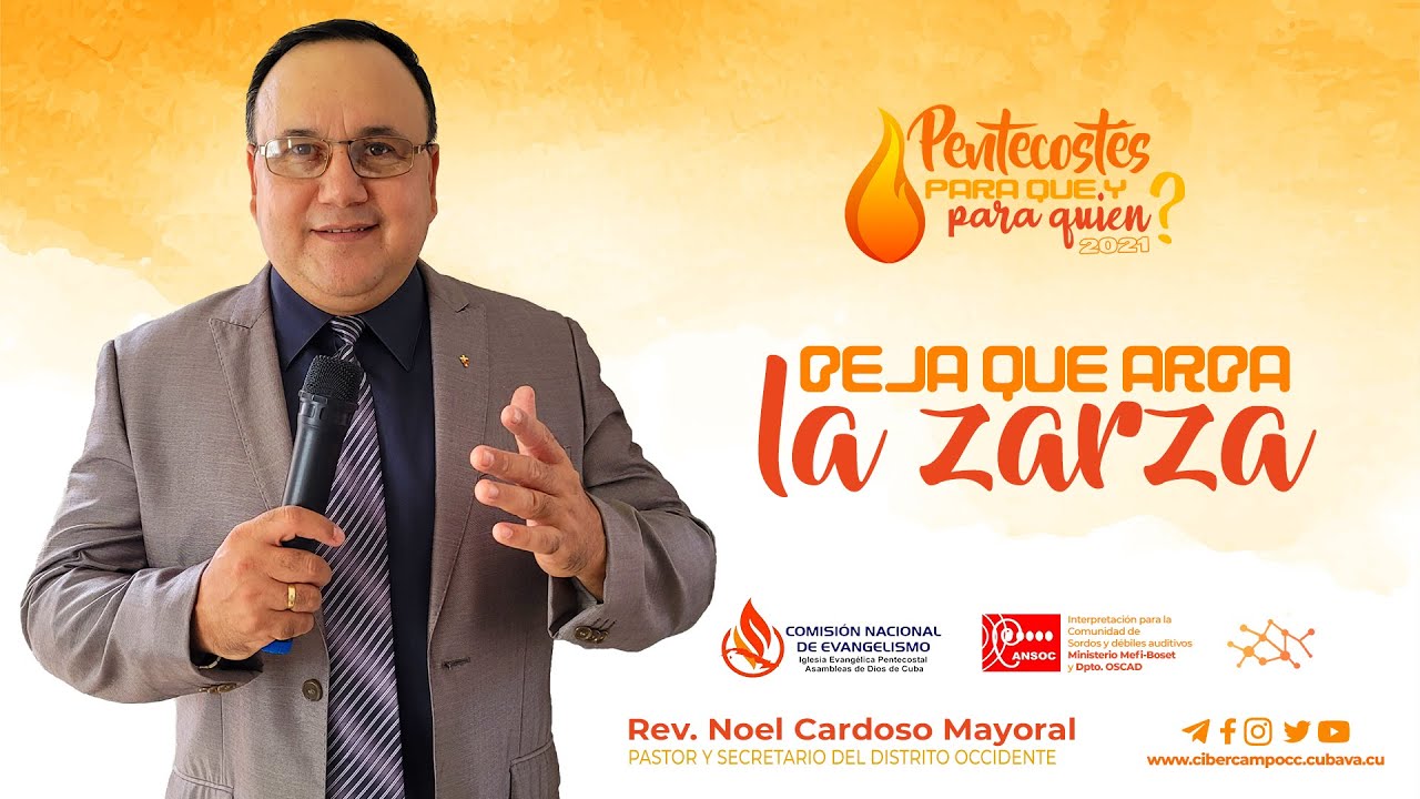 Deja que arda la zarza