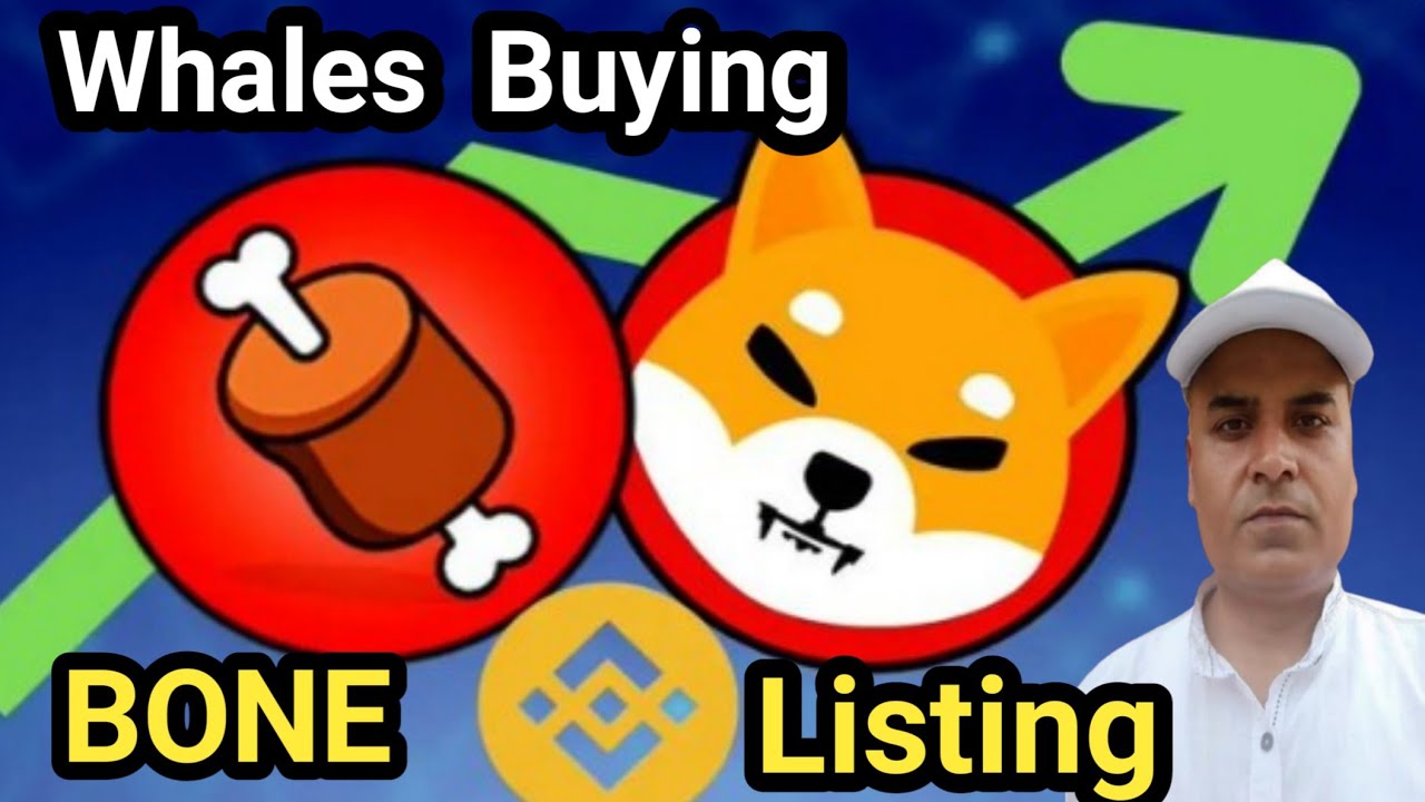BONE  Shibaswap Whales Buying || BONE PUMPING || BONE Update || Earn With Rohitash