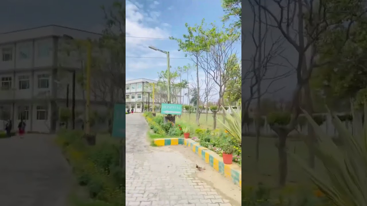 Neelkanth Group of institutions Meerut #neelkanth #college #hospital  #meerut #modipuram