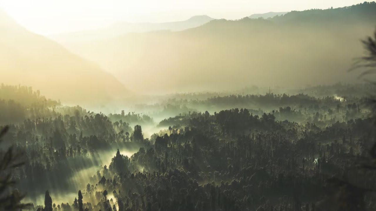 What Is Authentic Saving Faith? -John Piper, #321