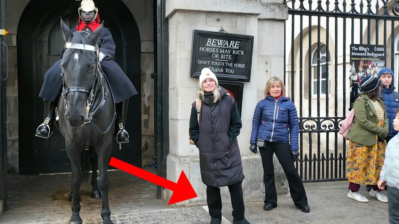 One tourist forgot she was inside the box!