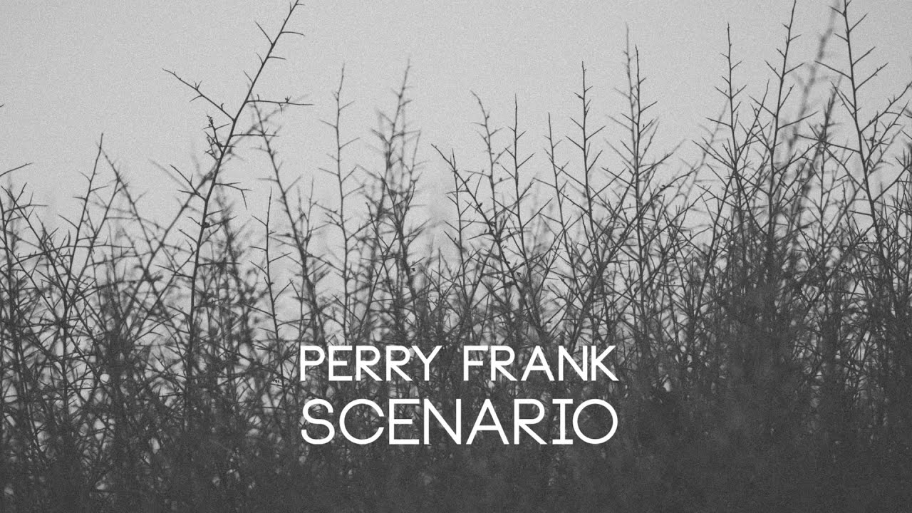PERRY FRANK | Scenario || Full Album Visual Mix // Ambient Guitar Music 
