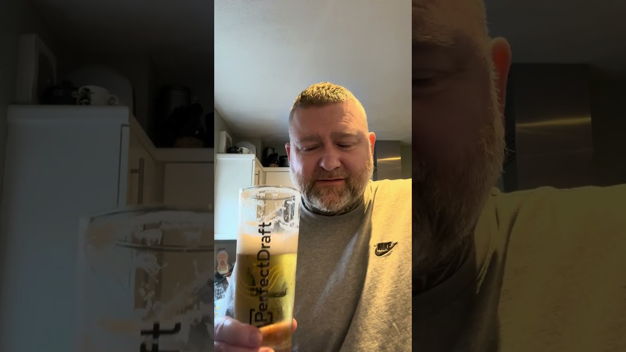 Stella Artois 5.2 Belgian ( perfect draft )