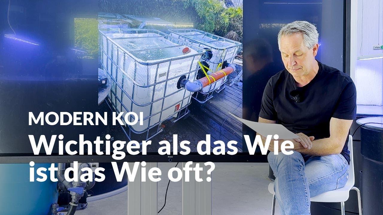 Wasserwechsel – wie geht er richtig? | Modern Koi Blog #7337