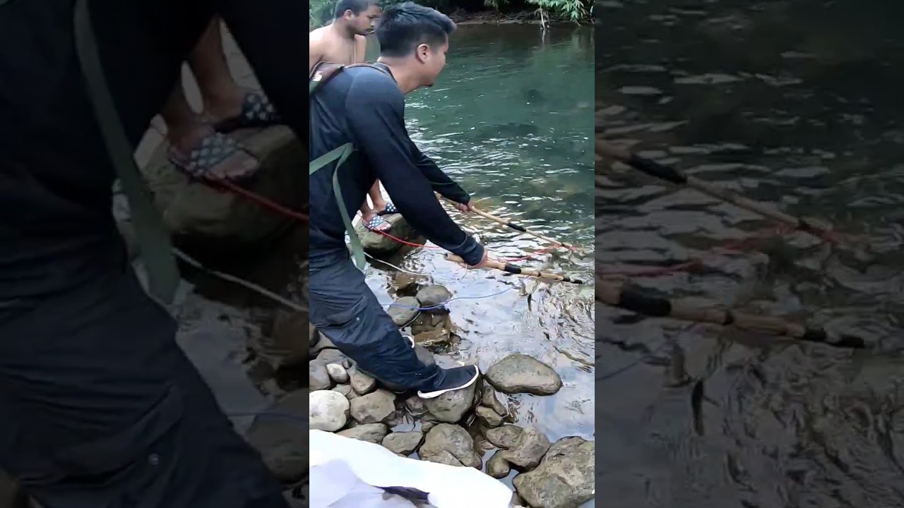 Electric  fishing 🐠 😯 #shorts #fishing #2023 #fish #bigFish #viral #fishingTricks #electricfishing