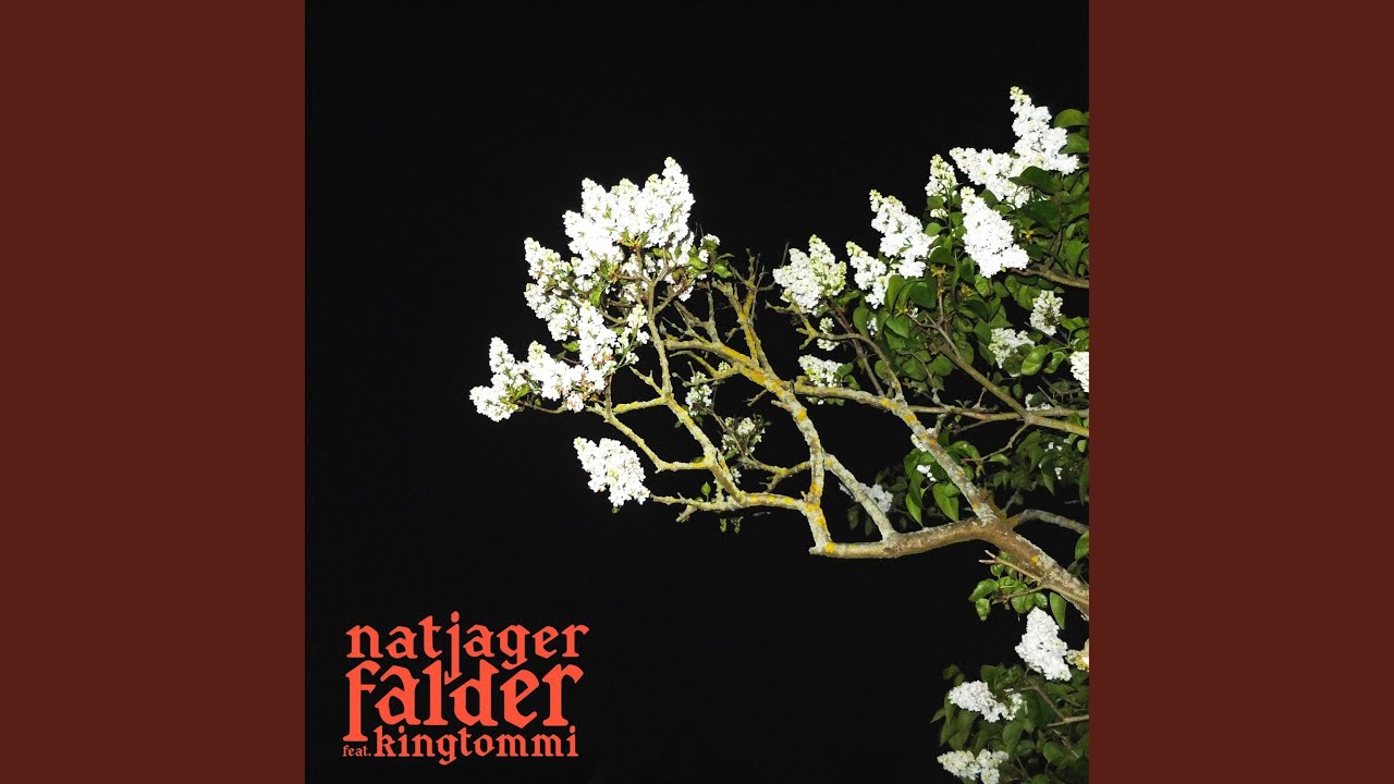 Falder (feat. kingtommi)