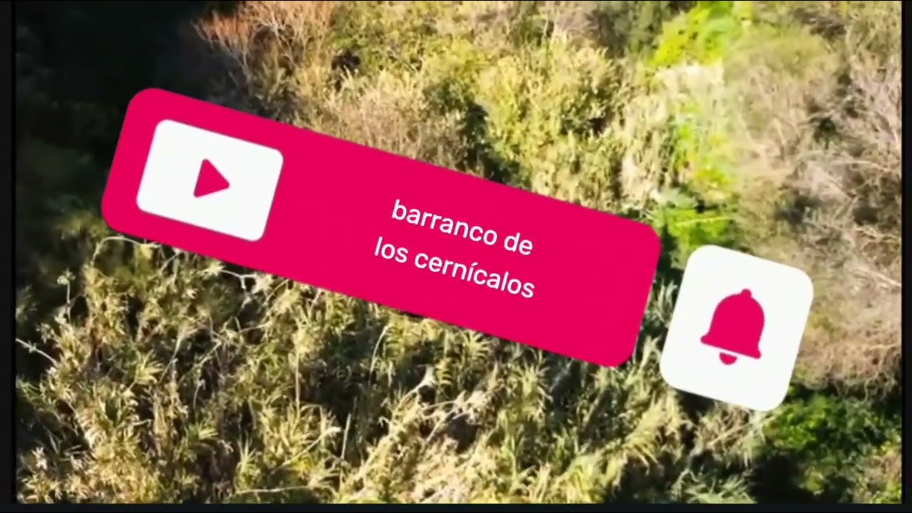 barranco de los cernícalos 21 febrero 2026
