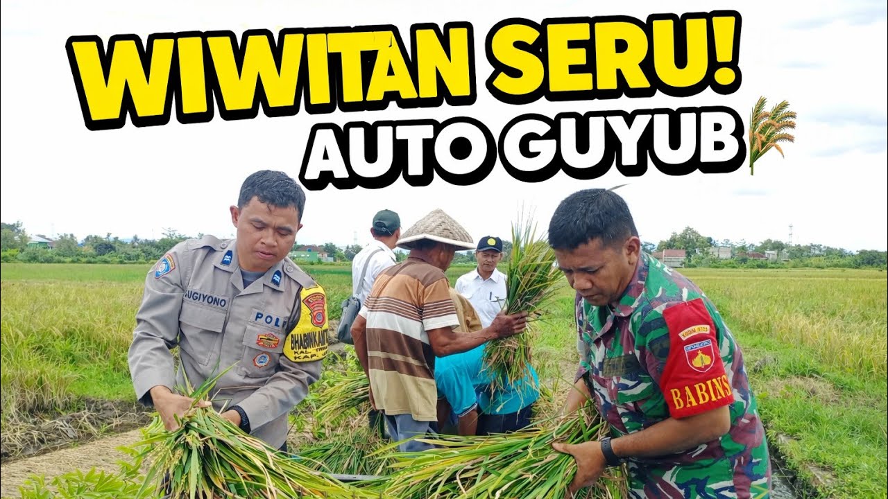 Wiwitan Jadi Ajang Guyub! Petani & Aparat Turun ke Sawah