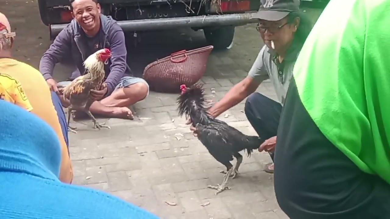 Paing pasaran wedi kang. 