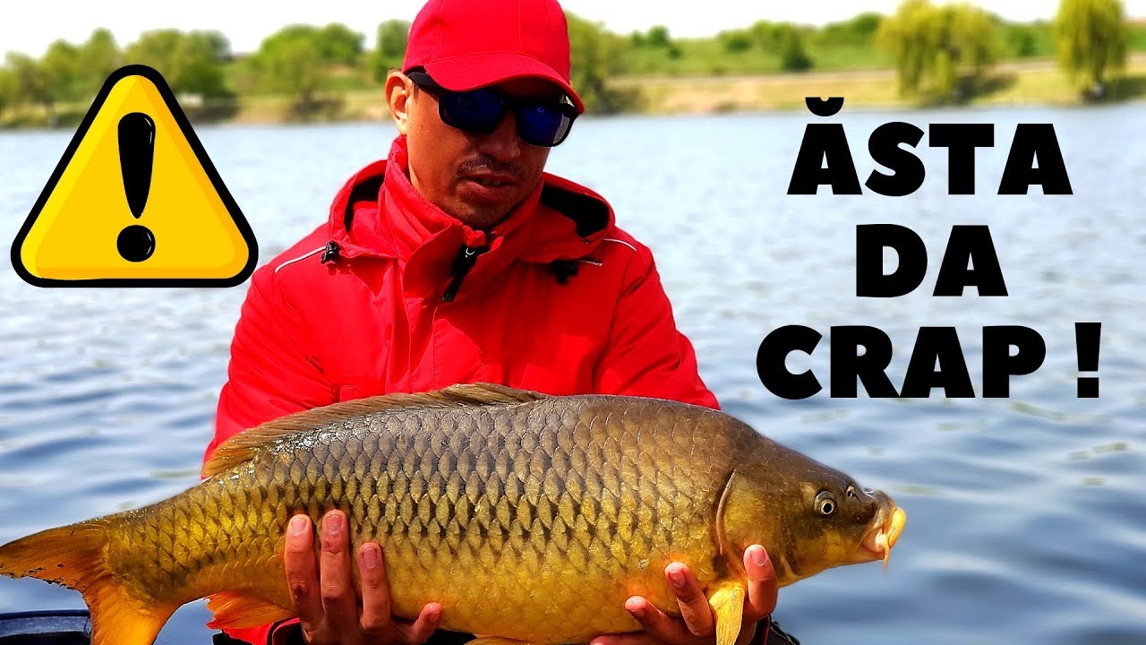 TREBUIE SĂ VEZI ASTA !!! MI-AM DEPĂSIT RECORDUL LA CRAP  !!! PESCUIT LA CRAP/FEEDER 2019