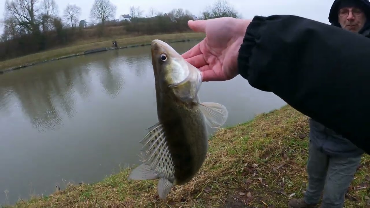 🎣 Pêche en hiver : Kickback Rig pour la traque du sandre