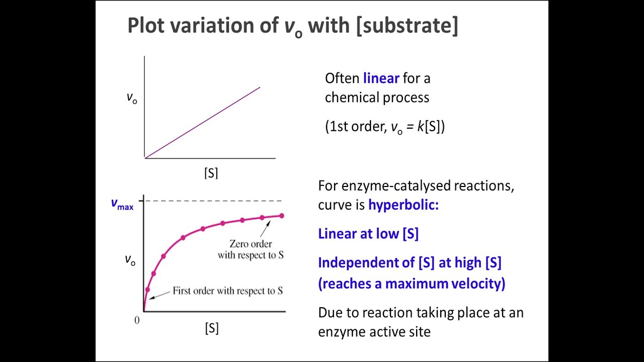 Biochemistry 9.2: Enzyme kinetics part 1