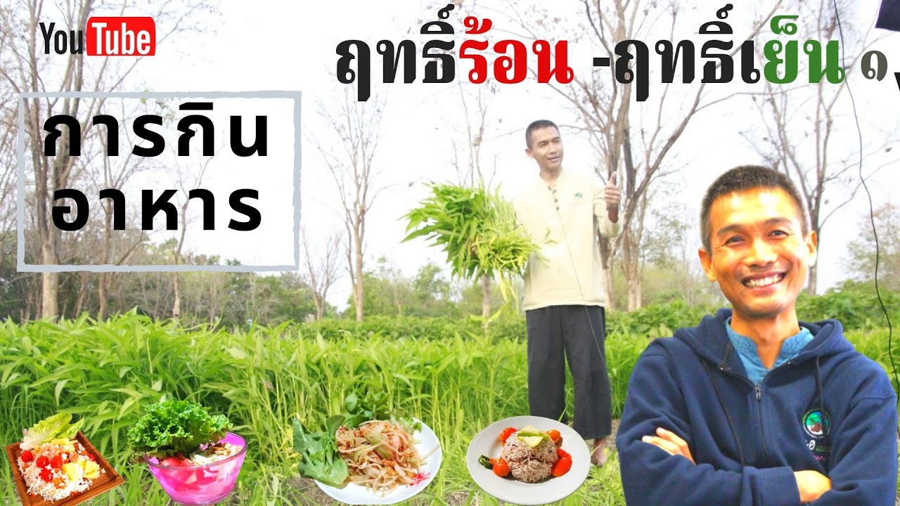 600508 อาหารฤทธิ์ร้อนเย็น ตอนที่ 1 โดย ดร.ใจเพชร กล้าจน