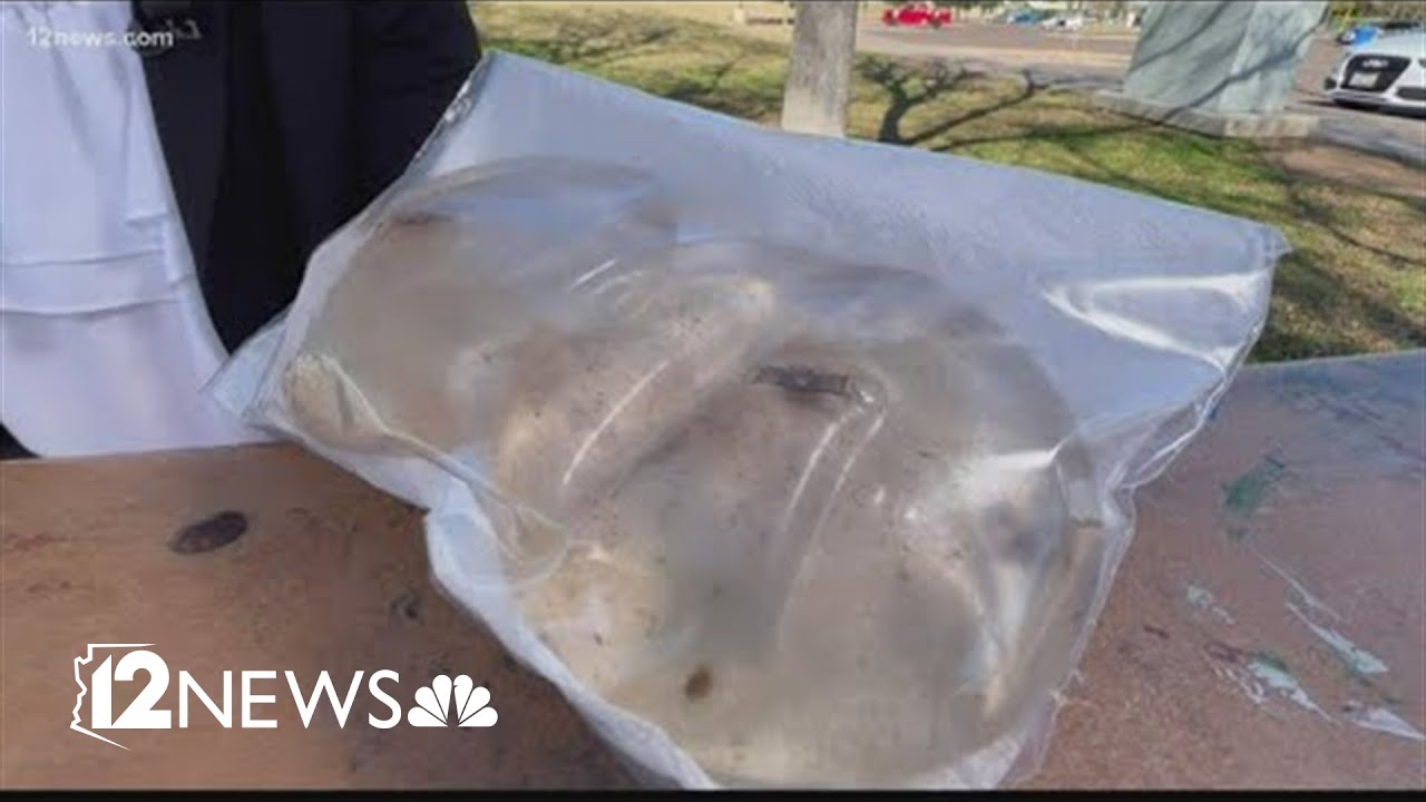 Arizona law requiring plastic surgeons to warn of breast implants risks