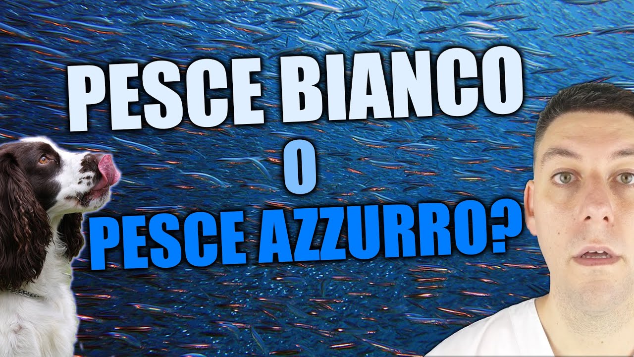 Come scegliere il PESCE da fornire al cane e al gatto?