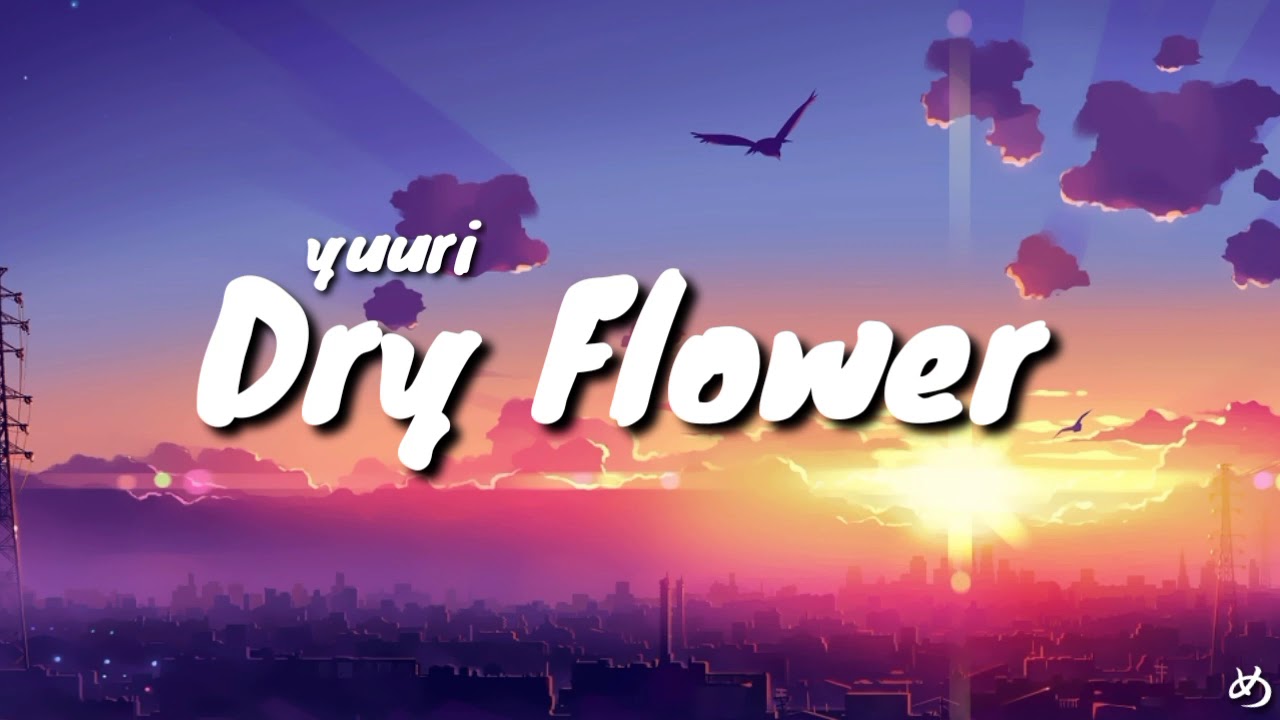 Yuuri - Dry Flower | ドライフラワ | (Lyrics Video)