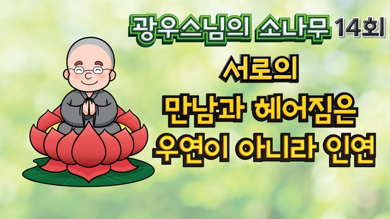 서로의 만남과 헤어짐은 우연이 아니라 인연 | 광우스님의 14회