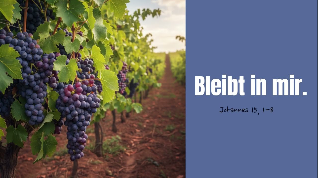 Bleibt in mir - Johannes 15,1-8