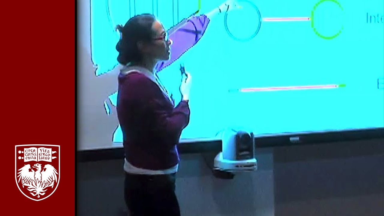 Natalia Komarova on Mathematical Modeling of Color Categorization