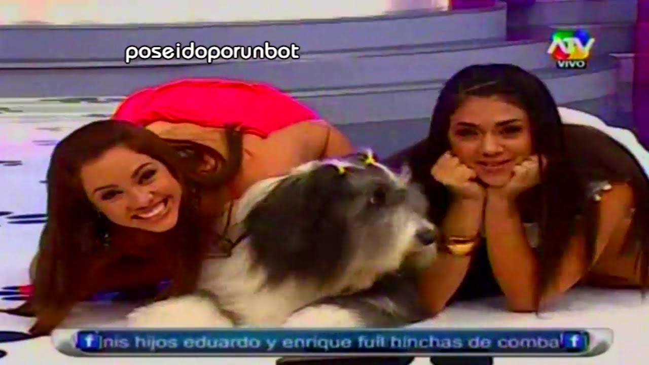 COMBATE: Desfile de Mascotas 14/12/12