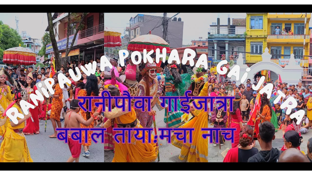 Pokhara Ranipauwa Gaijatra Tayamacha Nach