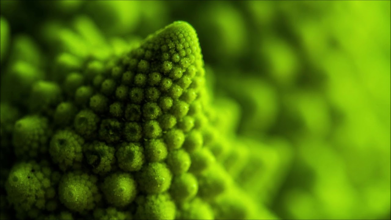 Four Tet - 23mins36sec BoilerRoom