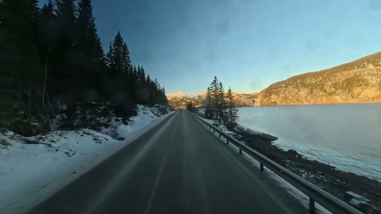 Furysto dienoraštis S02E05 lekiam krautis,pasigrožėkite vaizdais