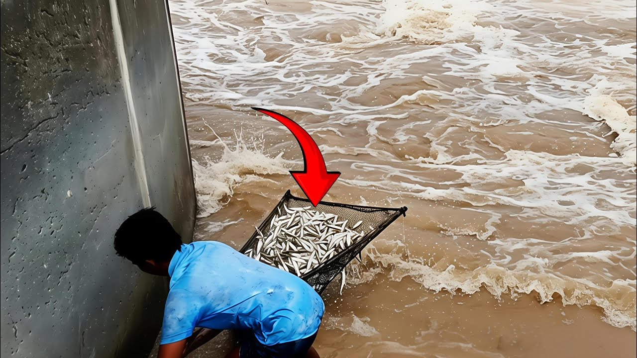 HEBOH‼️ PINTU AIR BENDUNG DIBUKA — WARGA PANEN IKAN GILA-GILAAN Pakai Alat Sederhana