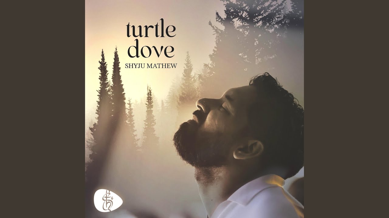 Turtle Dove - Tatenda
