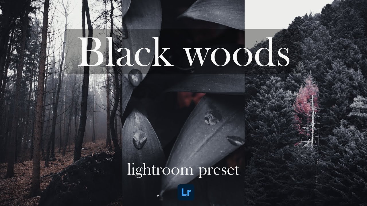 BLACK WOODS PRESET | nature presets Free DNG Presets for Lightroom Mobile and desktop
