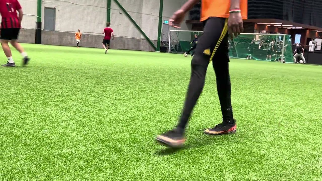 fc mic mot attack dogs 
