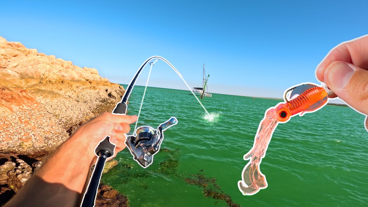 Hooking UNSTOPPABLE Fish On Light Tackle! - Exmouth marina fishing