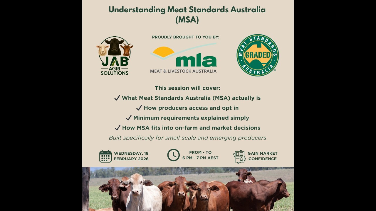 Understanding Meat Standards Australia MSA Meeting Recording - 18.02.2026