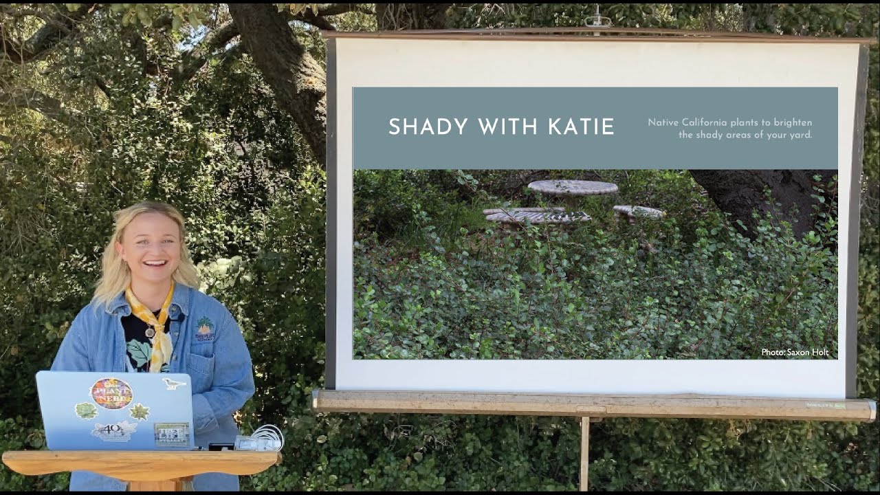 Shady with Katie