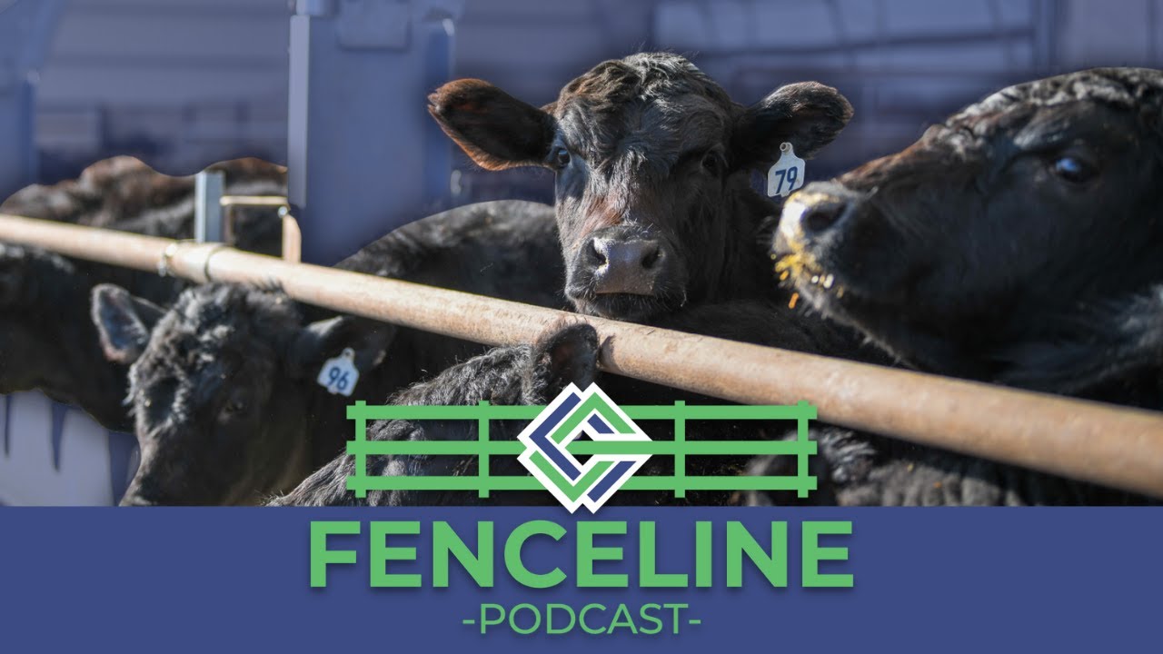 Farm To Fork: Iowa Beef Edition