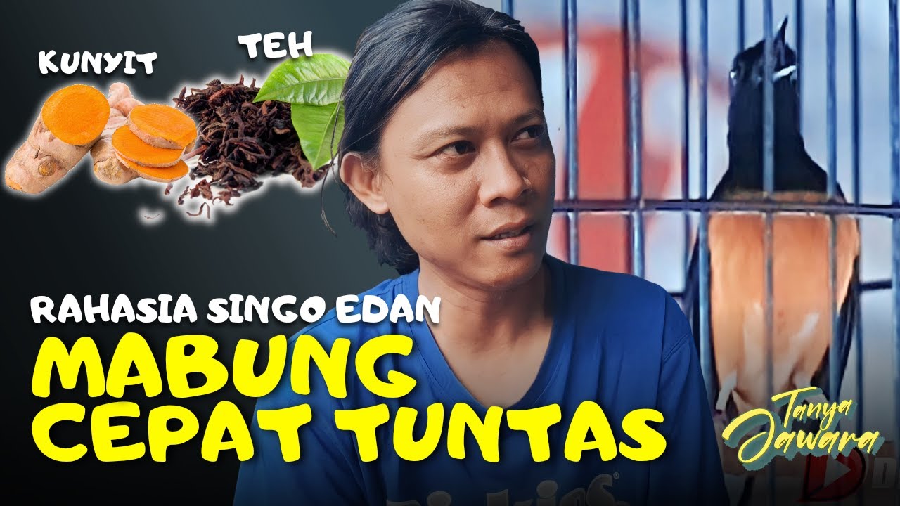Mabung Cepat , Sulit Mabung by Yuss YNWA , Murai Batu Singo Edan #DenidenTanyaJawara