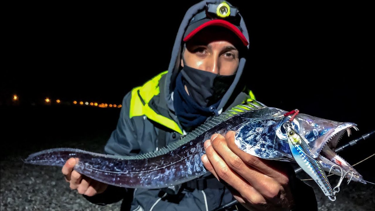 Alla ricerca dei Pesci Sciabola da riva!