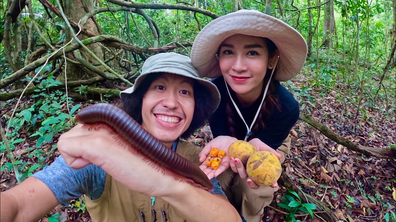 ลุยป่าหาผลไม้   ผจญภัยกับสัตว์มีพิษ  โจโฉ x เบลล์ นิภาดา   [ โจโฉ ]