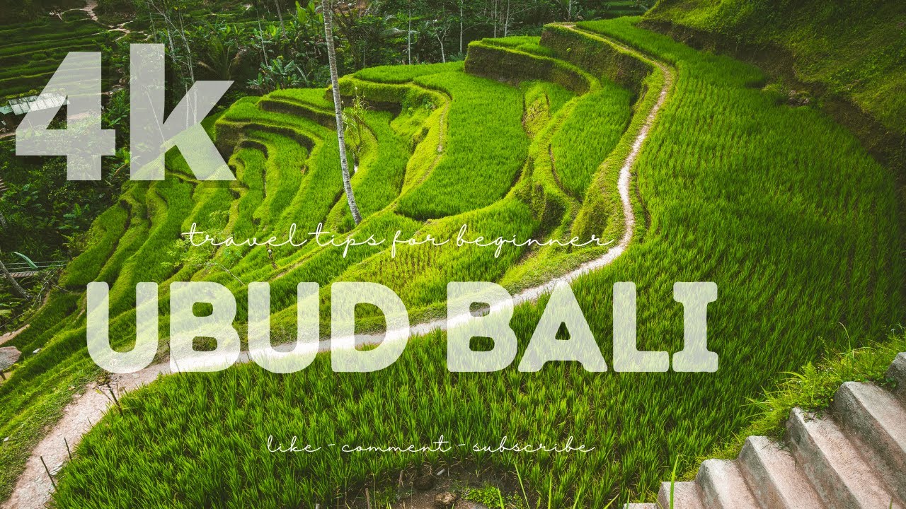 Ubud Bali 4k video with relaxing | Meditation music