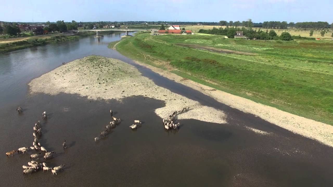 Flight over the Maas in belgium near Maaseik