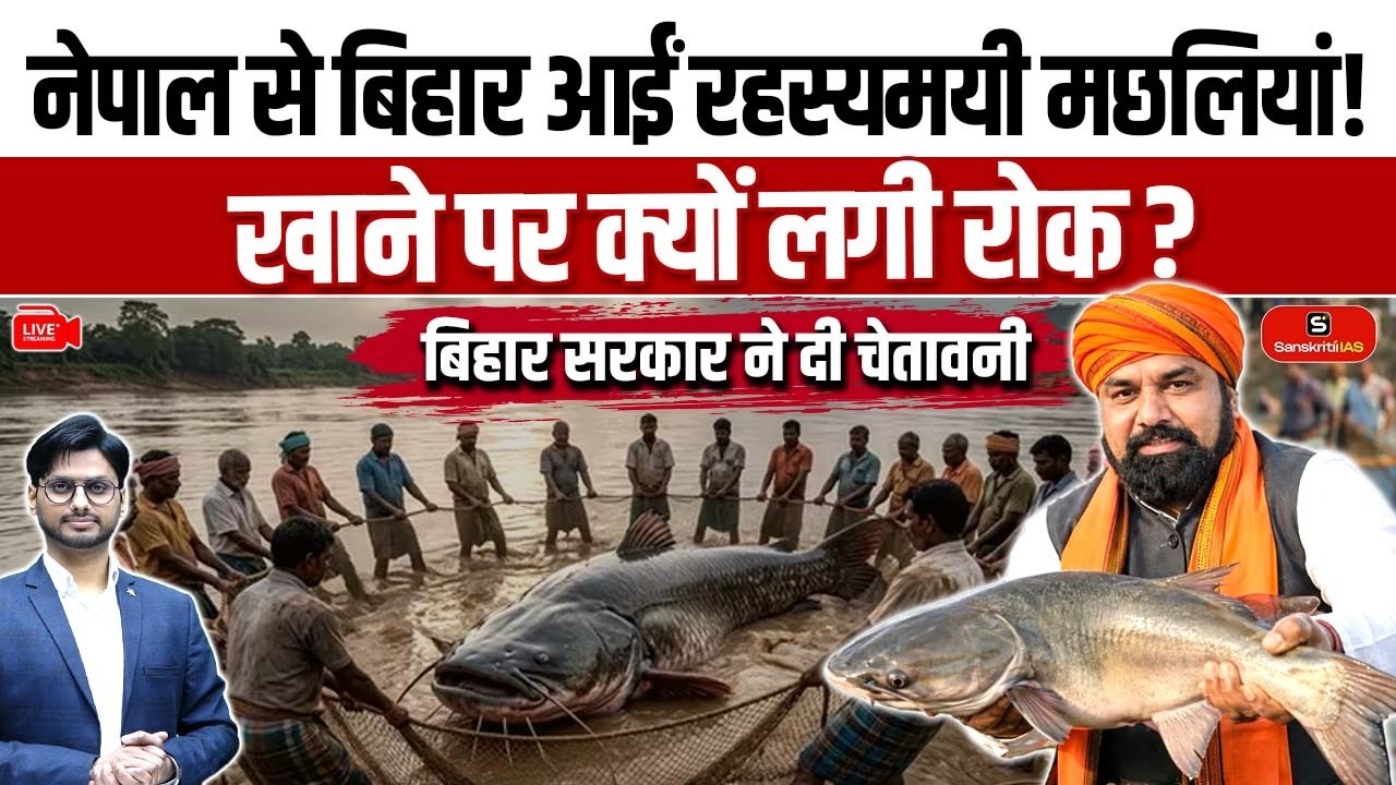 Mysterious Fish From Nepal Reaches Bihar! | Why Has the Government Banned Its Consumption?