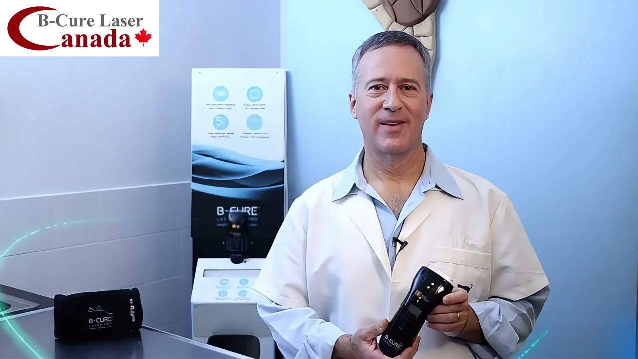 Treat Your Pet’s Elbow Osteoarthritis with B-Cure Laser Vet