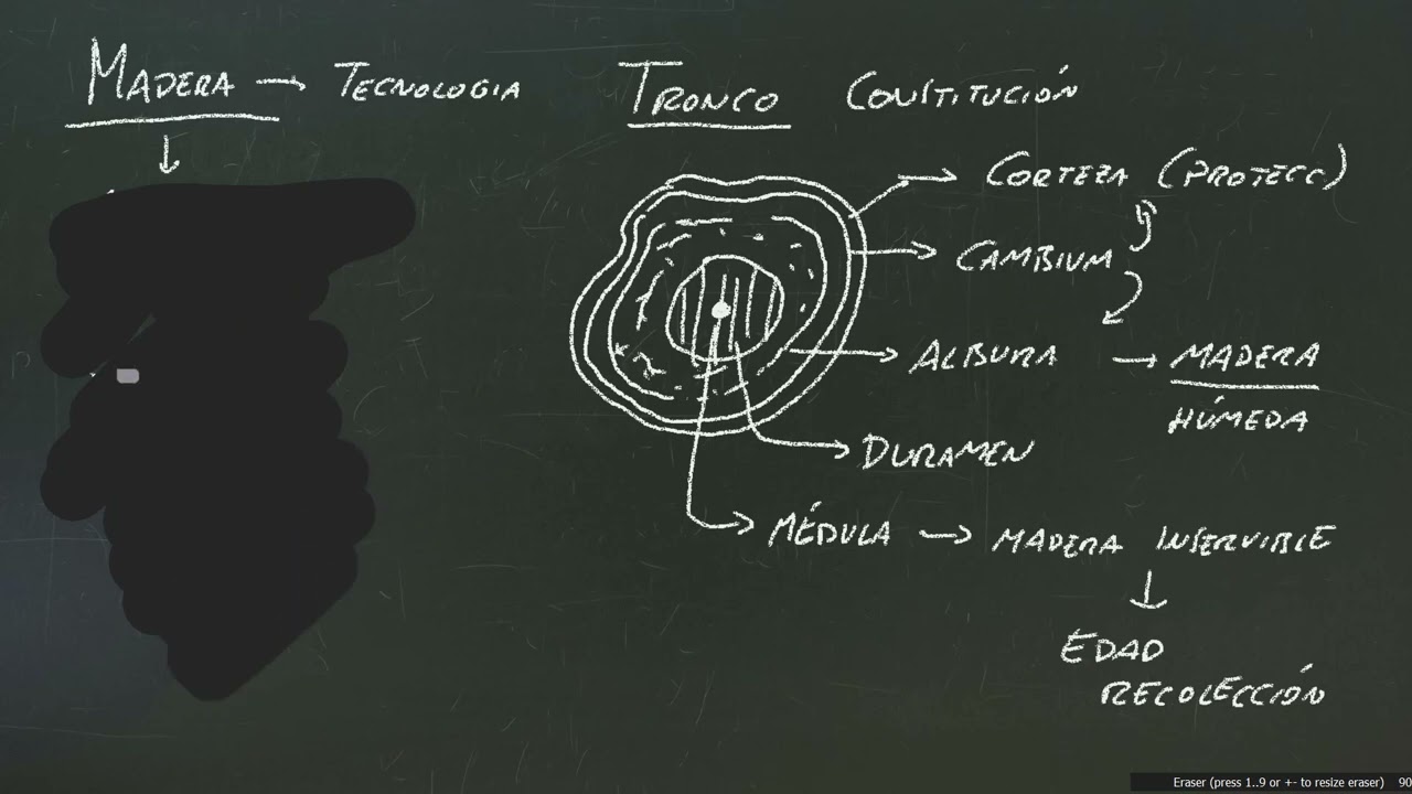 La Madera 1/3 - Materiales Tecnología 2ESO